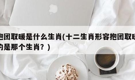 抱团取暖是什么生肖（抱团取暖是什么生肖数字）