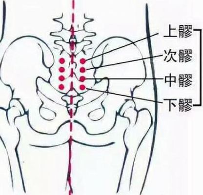 八髎定位技巧图片（八髎的位置怎么定位啊）