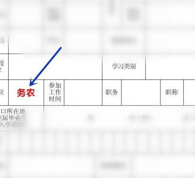 打工的工作单位怎么填（打工的工作单位怎么填和职业怎么填）