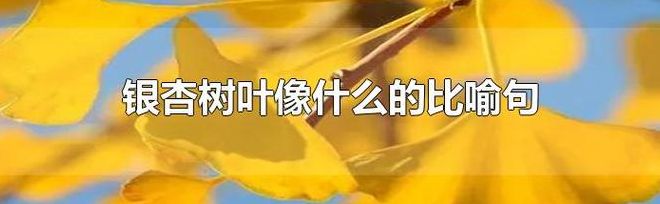 银杏树叶像什么（银杏树叶像什么比喻句似的）