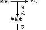 无子番茄的培育原理（无子番茄培育原理与无籽西瓜培育原理比较）