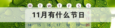 11月有什么节日（11月有什么节日有哪些）