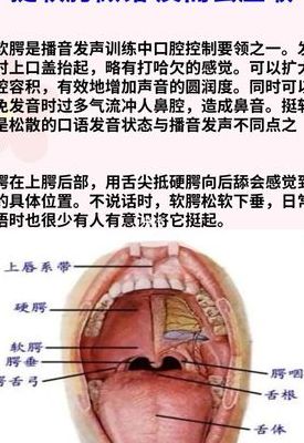 烟嗓发音技巧（烟嗓发音技巧口诀）