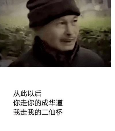 走花路是什么意思（走花路是什么意思梗）