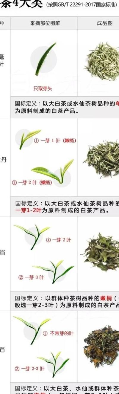 天目湖白茶（天目湖白茶属于什么档次）