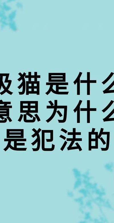 吸猫什么意思什么意思（吸猫是啥意思是什么）