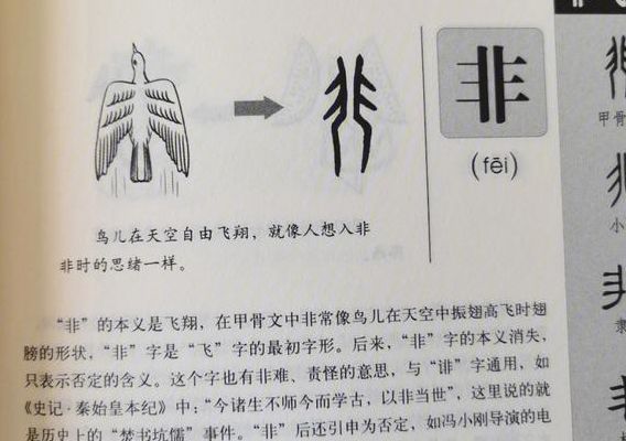 非字组词（非字组词一年级）