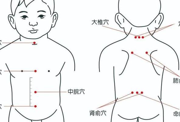 三伏贴贴敷部位图（三伏贴贴敷部位图男性）