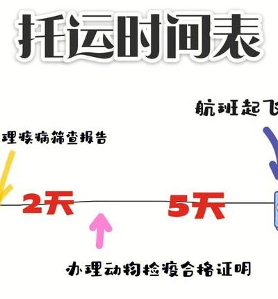 提前5个小时能办托运吗（提前五个小时能办理托运吗）