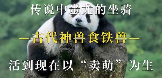 熊猫是谁的坐骑（古时候熊猫是谁的坐骑）