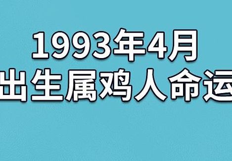 1993年属鸡是什么命（1981年属鸡是什么命）