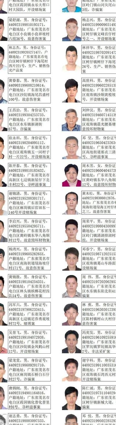 怎么查通缉人员名单（哪里查通缉人员名单）