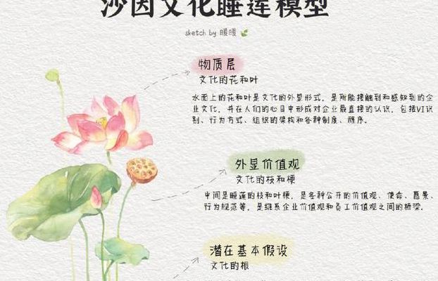 铁莲花图片（怎么介绍模型）