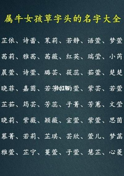 艹字头的字（草字头的字女孩名字）