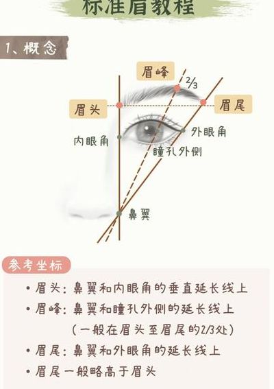 怎么修眉毛好看图解（怎么修眉毛好看图解初学者）