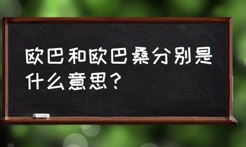 欧巴桑是什么意思（欧吉桑和欧巴桑是什么意思）