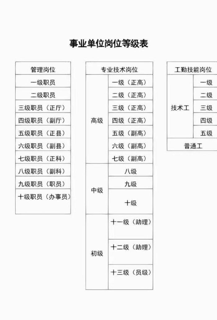 职位名称（公务员职位名称）