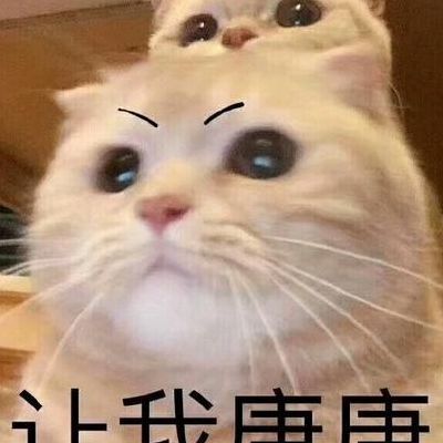 让我康康是什么意思（让我康康出自哪里）