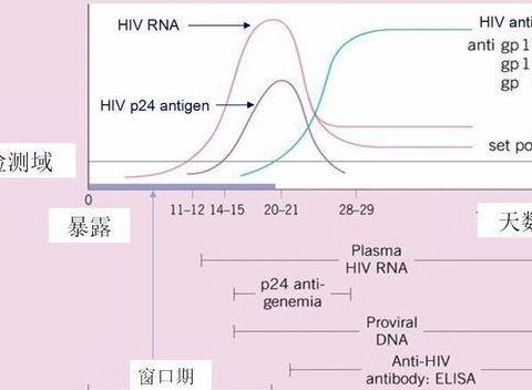 窗口期名词解释（艾滋病窗口期名词解释）