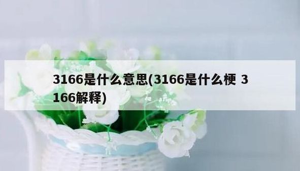 3166是什么意思（3166是什么意思网络用语）