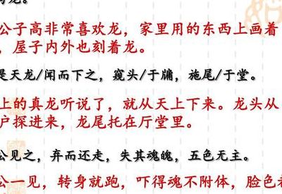 叶公好龙文言文翻译（叶公好龙文言文翻译和道理）