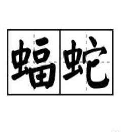 蝙蝠的蝙组词两个字（蝙蝠的蝙组词两个字的词语有哪些）