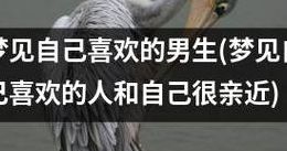 梦见自己喜欢的男生（梦见自己喜欢的男生是什么意思）