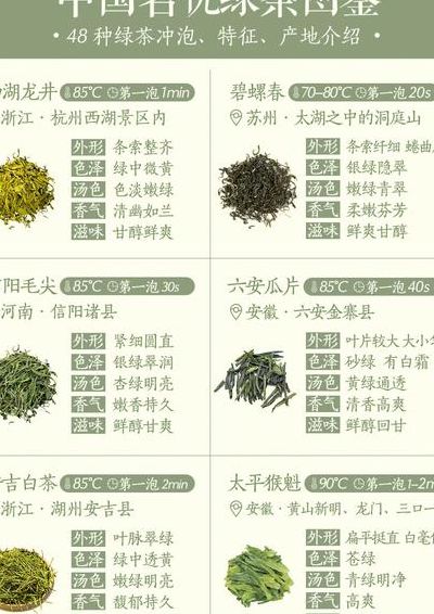 绿茶包括哪些茶（绿茶系列都包括什么茶）