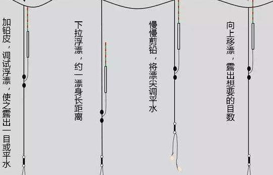 钓鱼怎么调漂和找底（钓鱼怎么调漂和找底 视频教程）