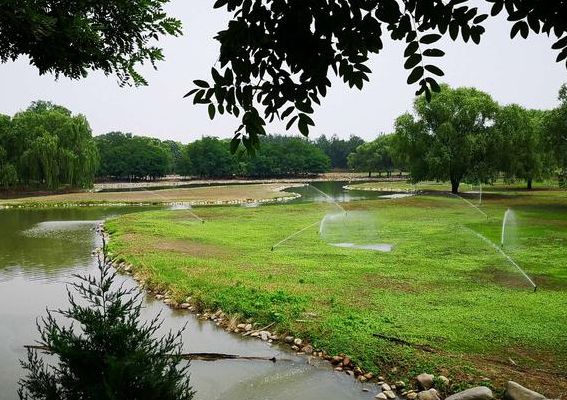 南海子湿地公园（南海子湿地公园露营区）