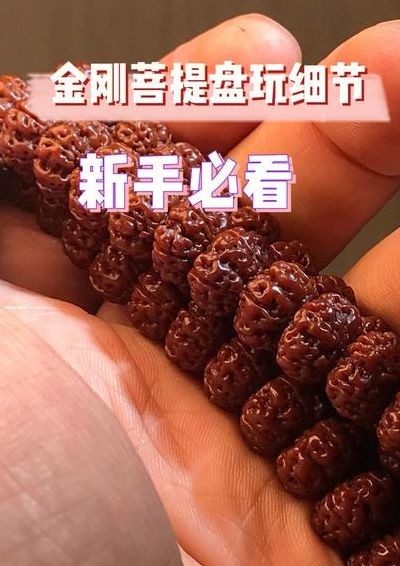 金刚菩提子怎么清洗（金刚菩提子清洗方法）