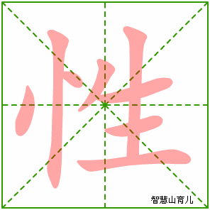 字笔顺笔画顺序（性字的笔画笔顺怎么写）