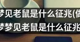 周公解梦梦见老鼠（周公解梦梦见老鼠钻进裤腿里）