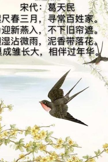 关于燕子的诗句古诗（关于燕子的诗句古诗词）