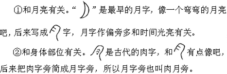 带有月字旁的字（带有月字旁的字大多跟身体有关）