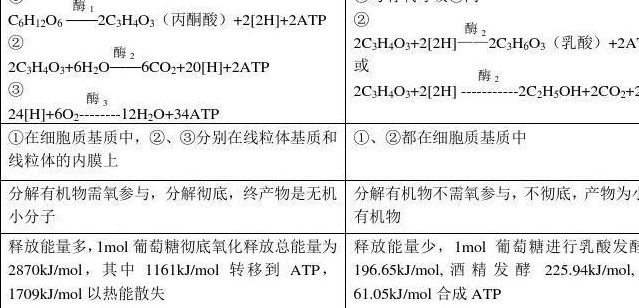 光合作用公式（光合作用公式和呼吸作用公式初一）