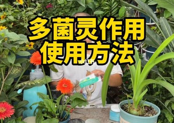 多菌灵灌根使用方法（多菌灵灌根使用方法兑水倍数）