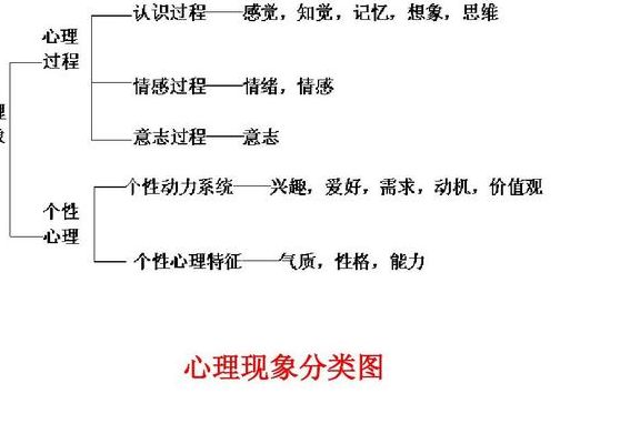 心理学效应大全（心理学效应大全及解释）