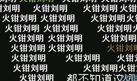 火钳刘明是什么意思（火钳刘明是什么意思 新闻）