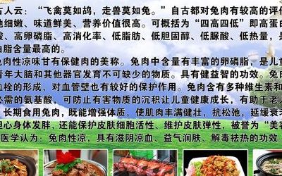 关于兔子肉的禁忌的信息