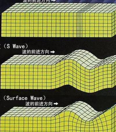 横波和纵波的区别（横波和纵波哪个快）