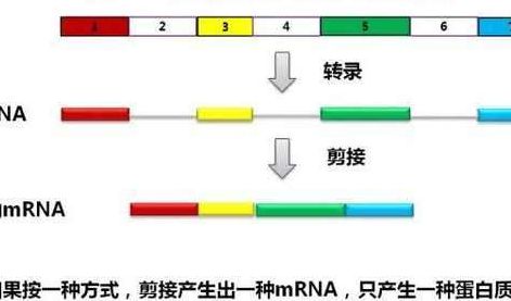 外子是什么意思（内子是什么意思）