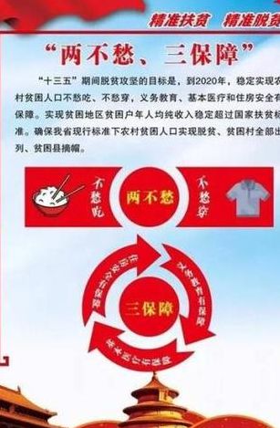 两不愁三保障是指什么（两不愁三保障是指什么答案）