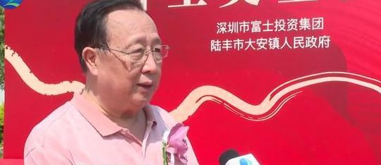 陆丰大安（陆丰大安镇富豪名单）