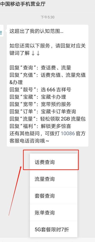 江苏移动网上营业厅话费查询（江苏移动掌上营业厅话费查询）