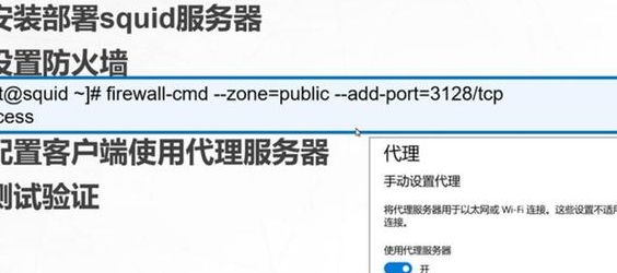 国外代理服务器下载（国外代理服务器地址,服务器端口,密码）