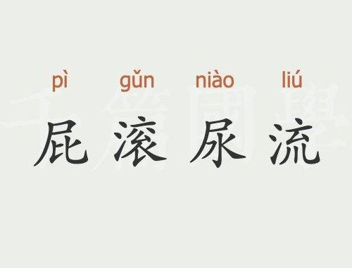 屁组词两个字的词语（屁组词两个字的词语婶）