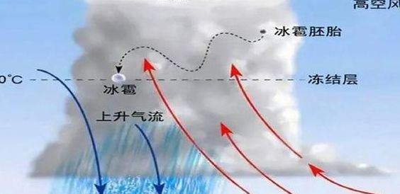 冰雹哪里掉（冰雹在哪）