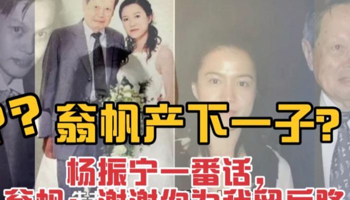 翁帆产下一子四岁(翁帆杨振宁生了子女没有？)