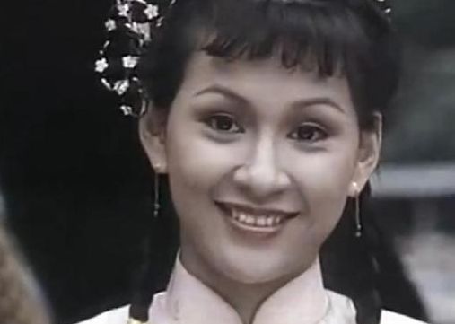 陈真电视剧老版全集(83版陈真徐燕如的扮演者？)